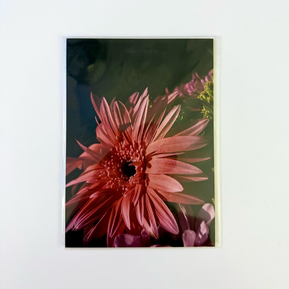 🖤🌸🌿 5x7 Pink Floral Print